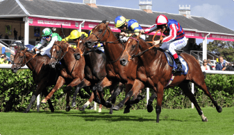 jeetwin-horse-betting